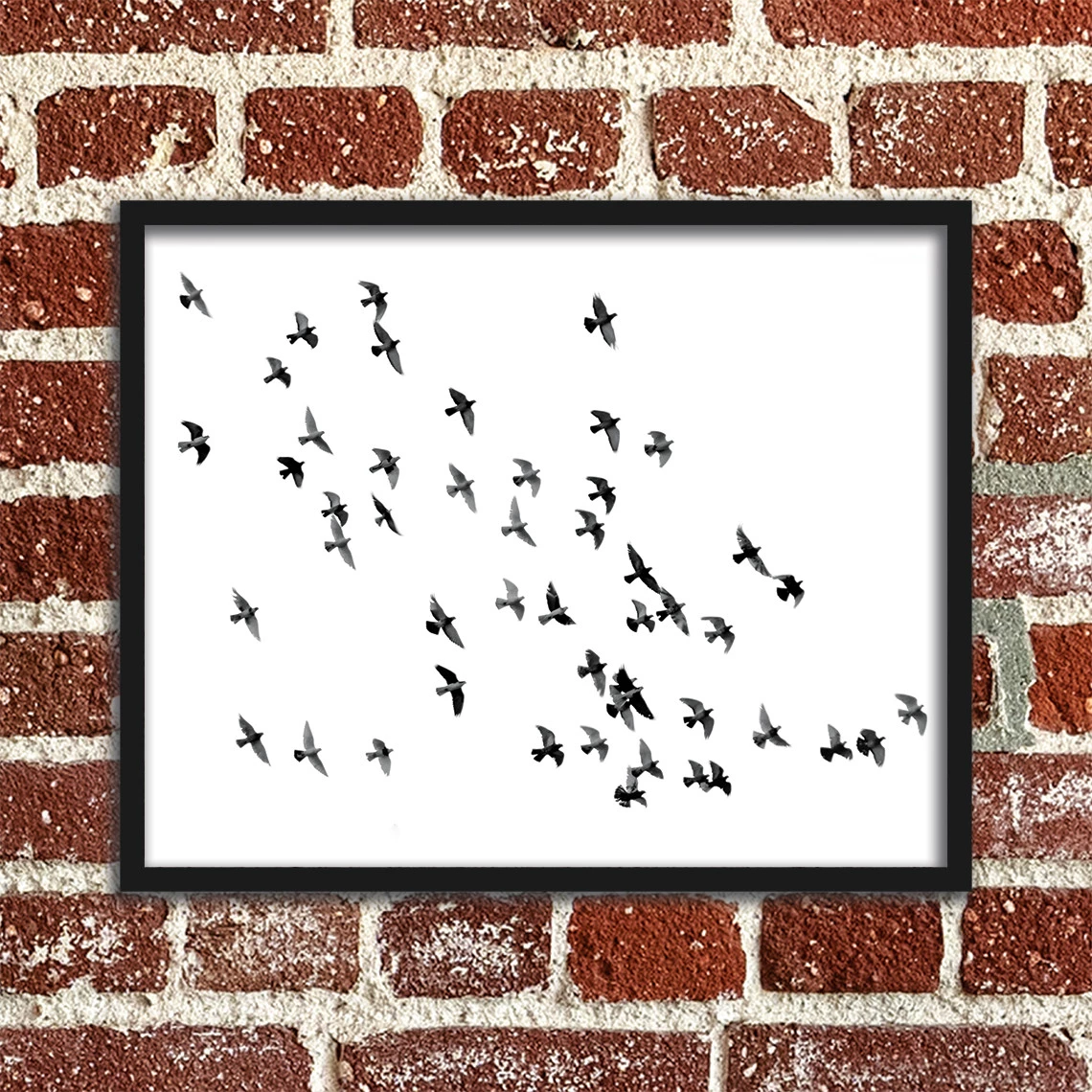 Flock of birds