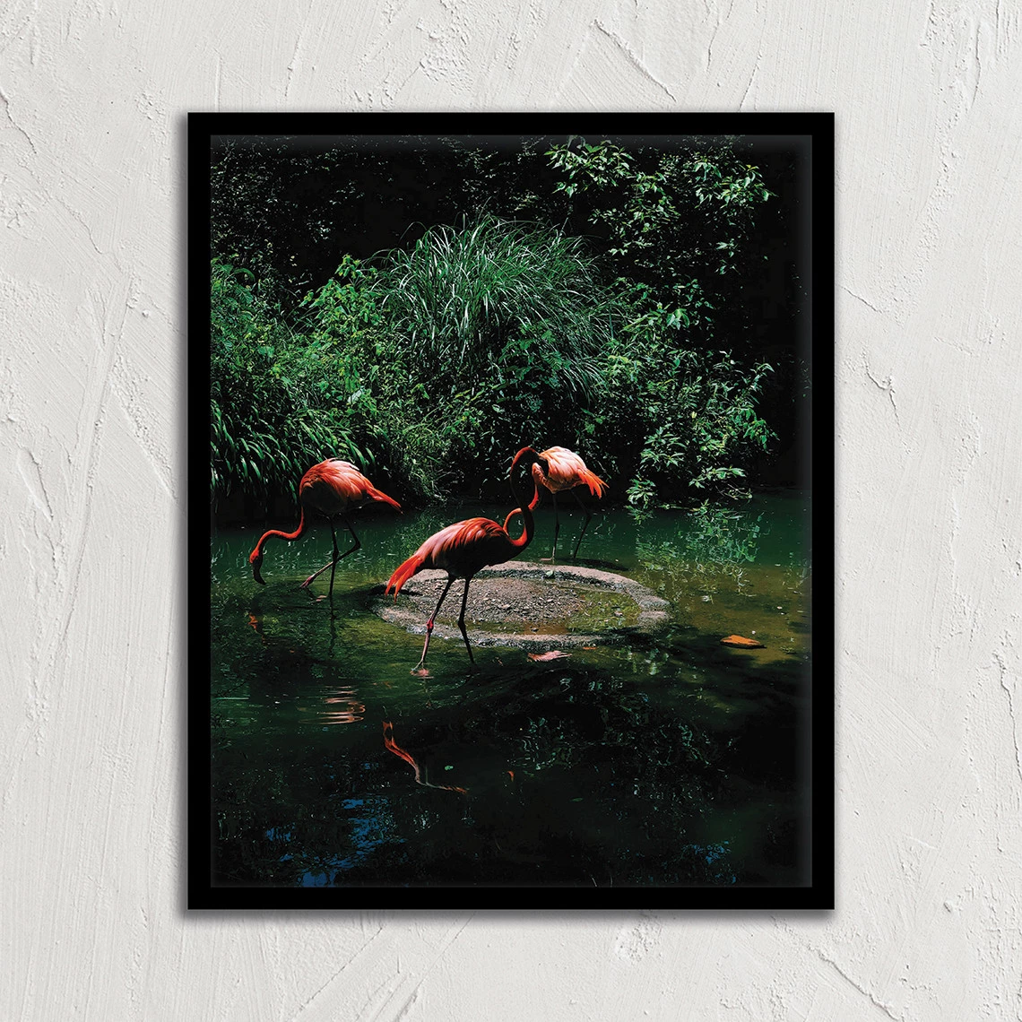 Three flamingos in jungle