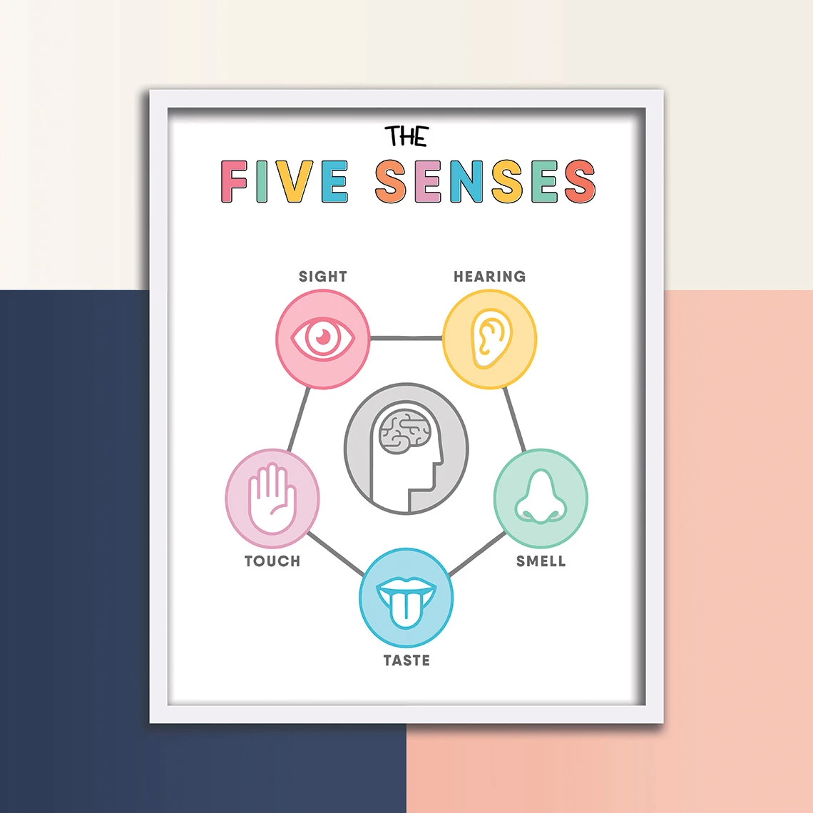 Five Senses