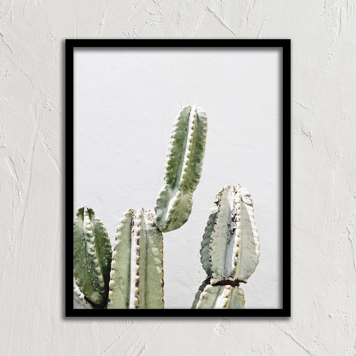 Cactus Branch